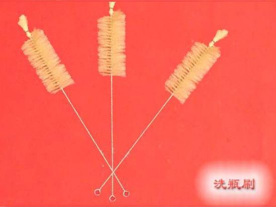 點(diǎn)擊查看詳細(xì)信息<br>標(biāo)題：洗瓶刷 閱讀次數(shù)：2390